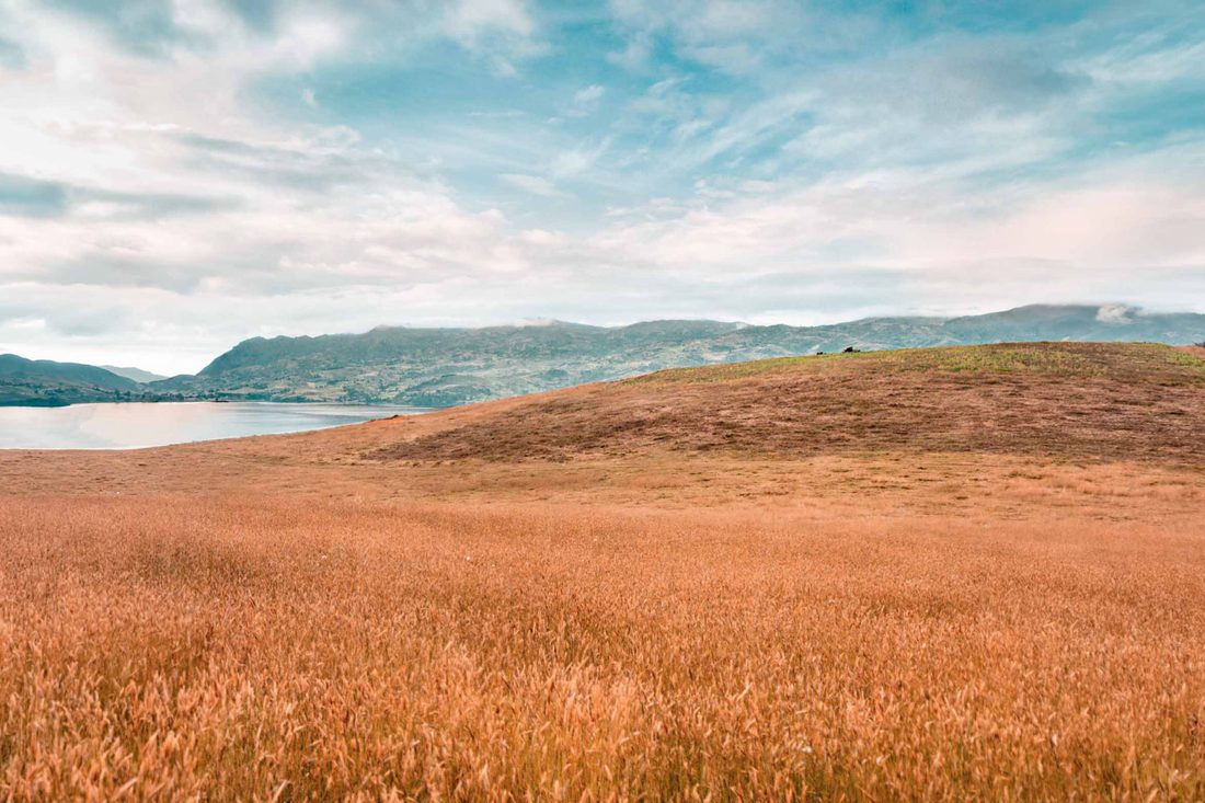 Highland plain outside Bogotá